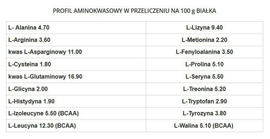 GenLab - Gain Support Professional - 4 kg ciastko czekoladowe