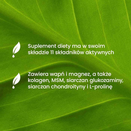 Essensey - Flexer na stawy - 225 g